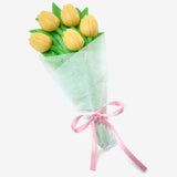 Barbie 12 Days of Spring Doll and Accessories