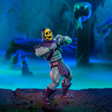 Masters of the Universe Skeletor x VeeFriends Skilled Skeleton 2-Pack