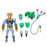 Masters of the Universe x ThunderCats Origins Tygra Action Figure