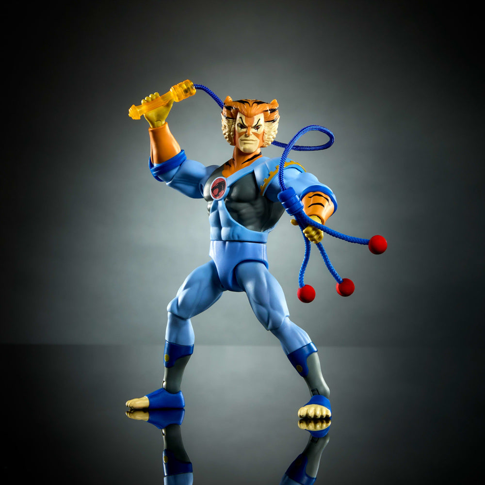 Origins And Thundercats Tygra Action Figure
