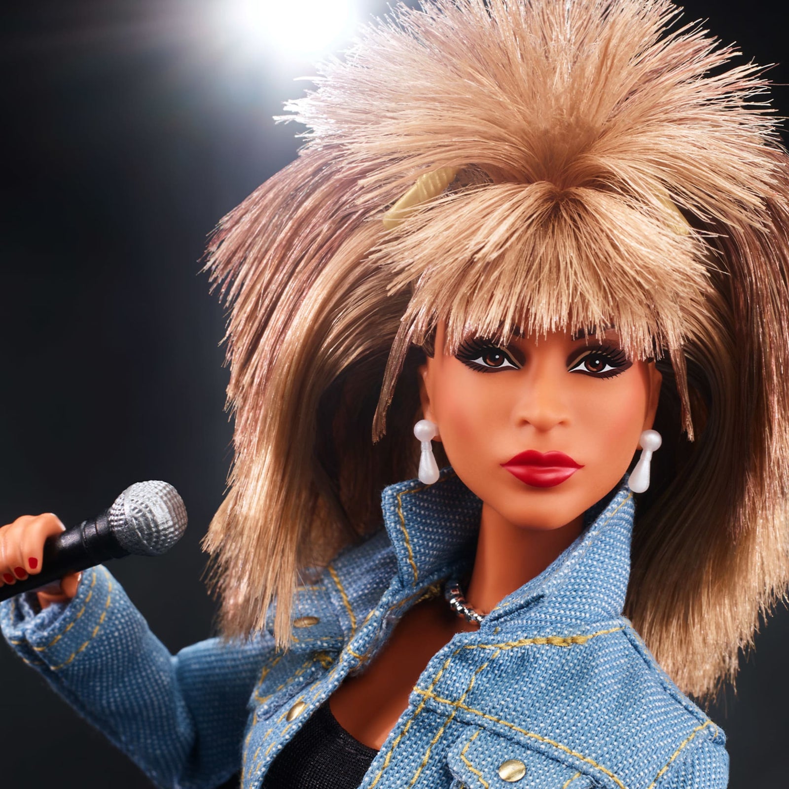 Barbie Signature Music Series Tina Turner Doll