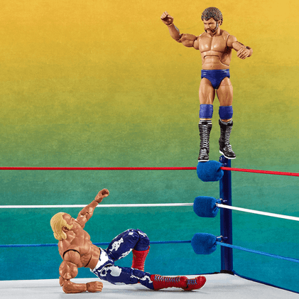 WWE Elite Collection Legends From the Territory Era 4-Figure Multipack