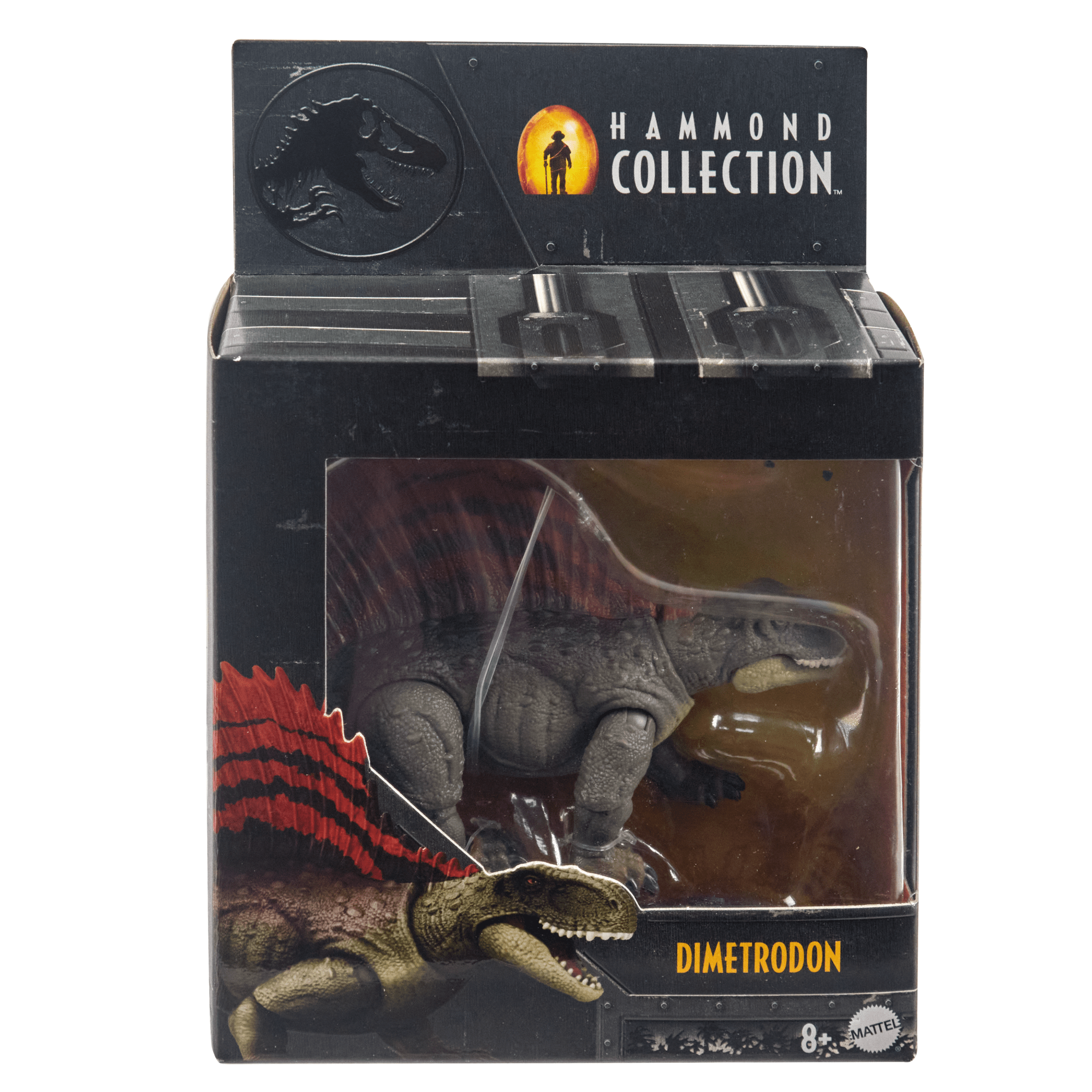 Mattel Jurassic World Dominion Hammond Collection - Figura de acción de dinosaurio, juguete de dinosaurio Dimetrodon con articulación y mandíbula grande, 7.6 pulgadas Mattel Jurassic World Dominion Hammond Collection - Figura de acción de dinosaurio, juguete de dinosaurio Dimetrodon con articulación y mandíbula grande, 7.6 pulgadas