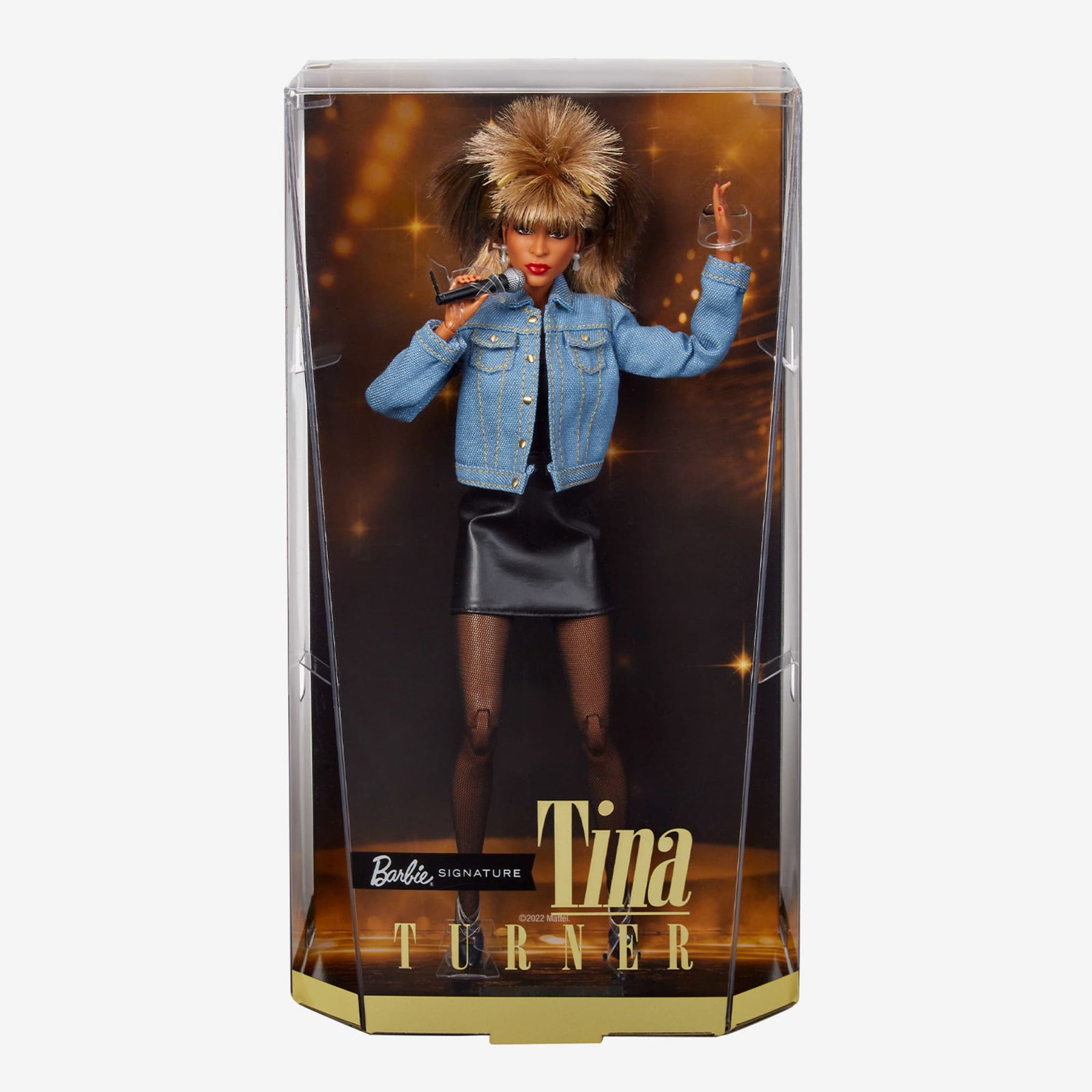 Barbie Signature Music Series Tina Turner Doll
