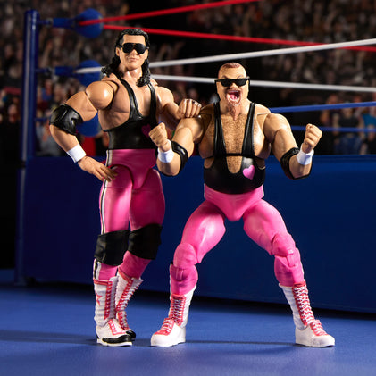 アメコミ HART FOUNDATION WWE Coliseum Collection Hart Foundation Collectible Action