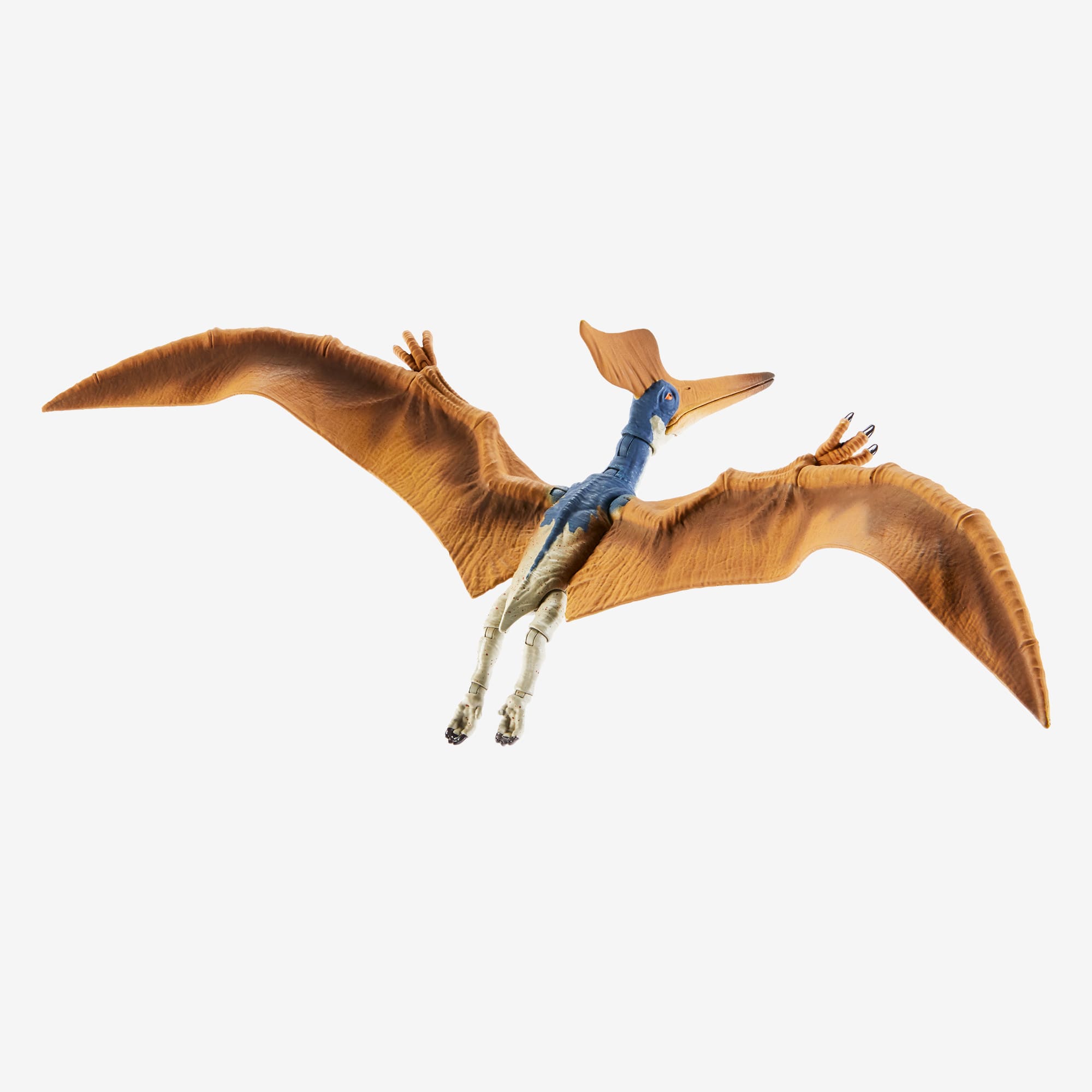 Pteranodon (The Lost World, Jurassic Park 3, Jurassic World)