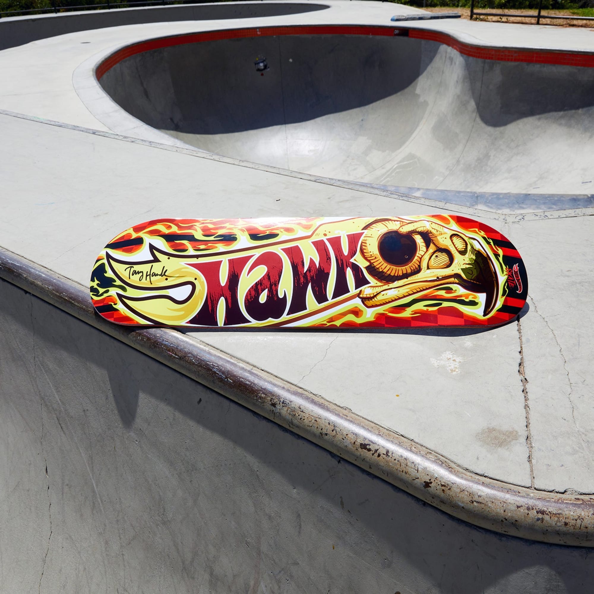 Tony Hawk x Hot Wheels Skate, Wildfire Deck & Fingerboard