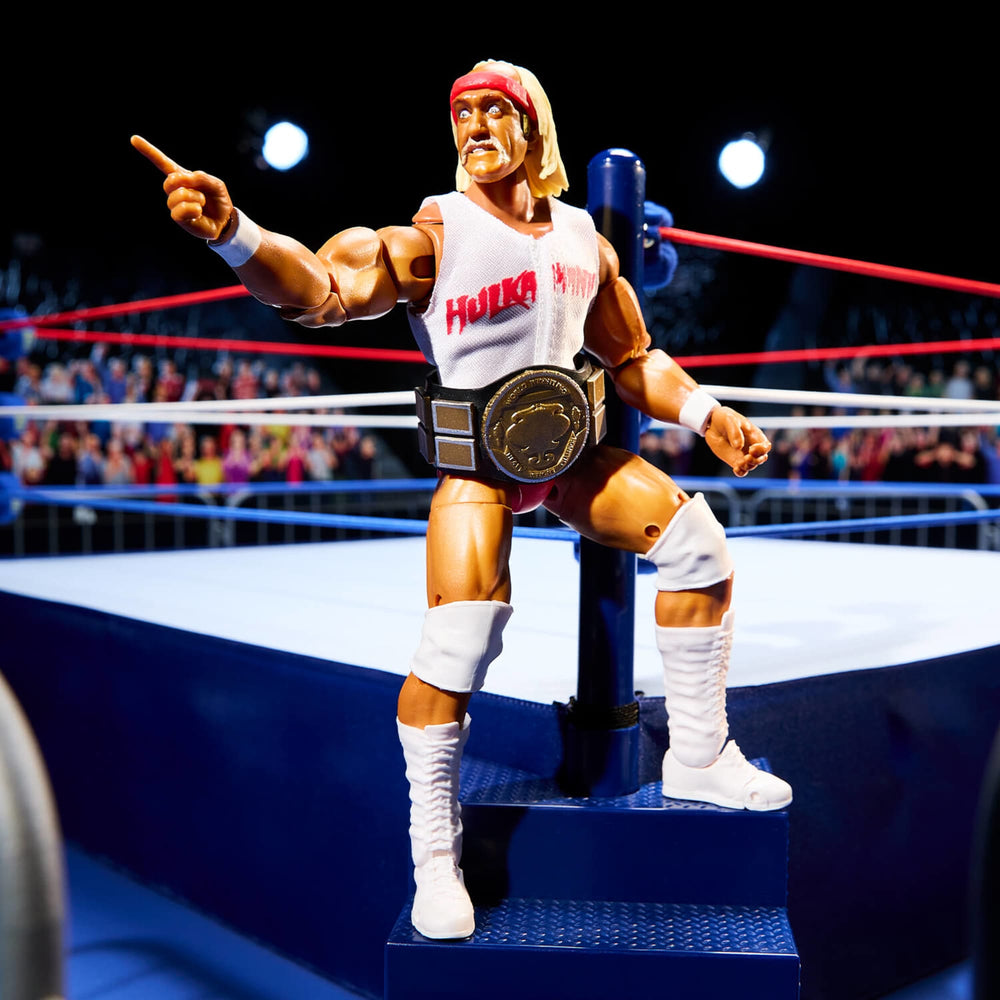 WWE Coliseum Collection Hulk Hogan & Terry Funk Ultimate Edition Figures