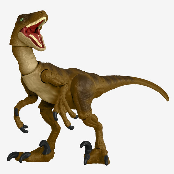 Jurassic World Hammond Collection Velociraptor Figure – Mattel