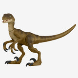 Jurassic World Hammond Collection Velociraptor Figure
