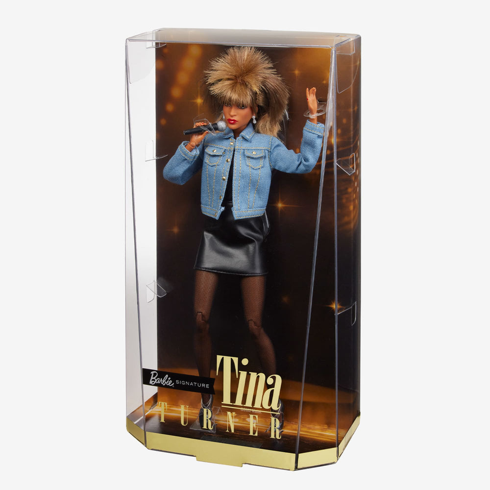 Barbie Signature Music Series Tina Turner Doll